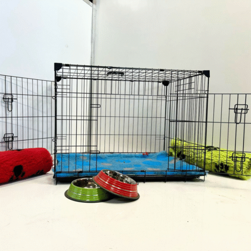 Large Dog Crate Starter Pack (91cm x 61cm x 69cm)
