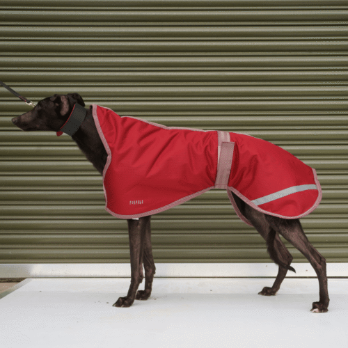 Waterproof Red Wine Walkout Coat