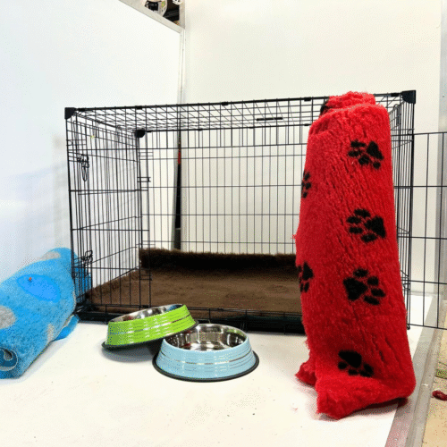 Extra Large Dog Crate Starter Pack 107 X 71 X 79 CM