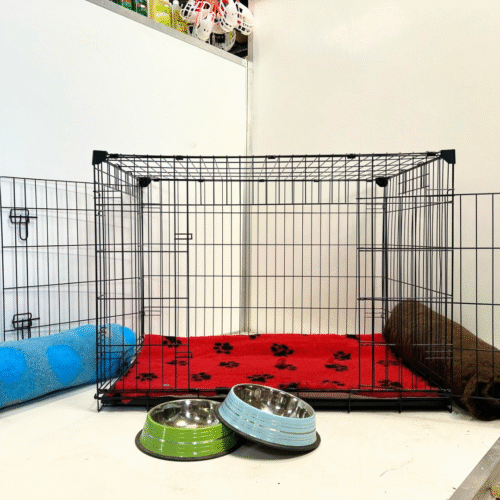 Giant Dog Crate Starter Pack- Giant  122 X 76 X 84 CM