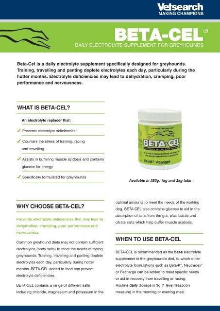 Beta-Cel Electolyte Replacement - Image 2