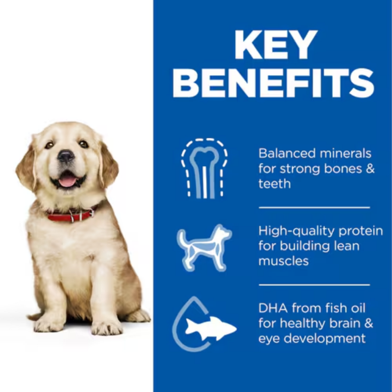 Hills Science Plan Large Breed Chicken Dry Puppy Dog Food - Image 2