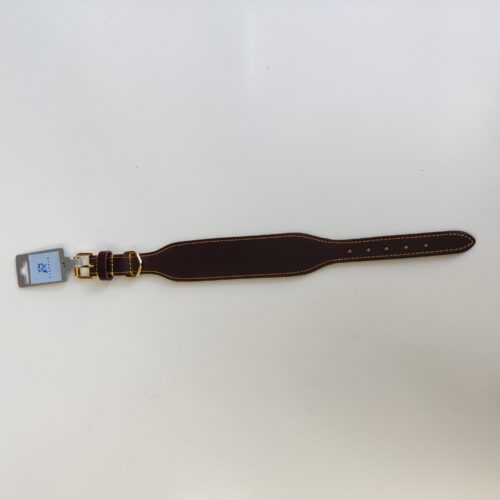 Greyhound Series Lined Leash and Collar Set