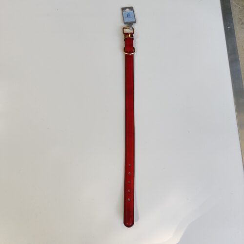 Naz Leather Raised Collar