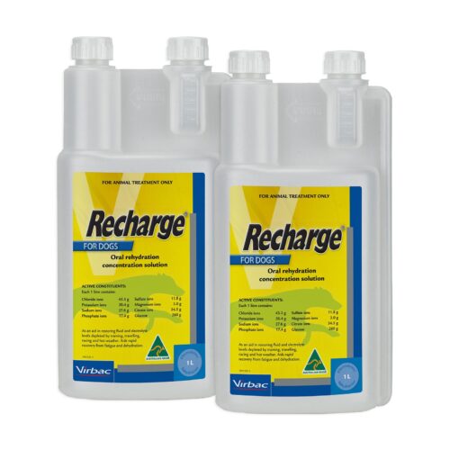 Recharge for Dogs