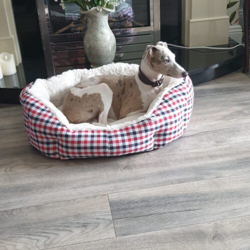 Country Tartan Nest Dog Bed