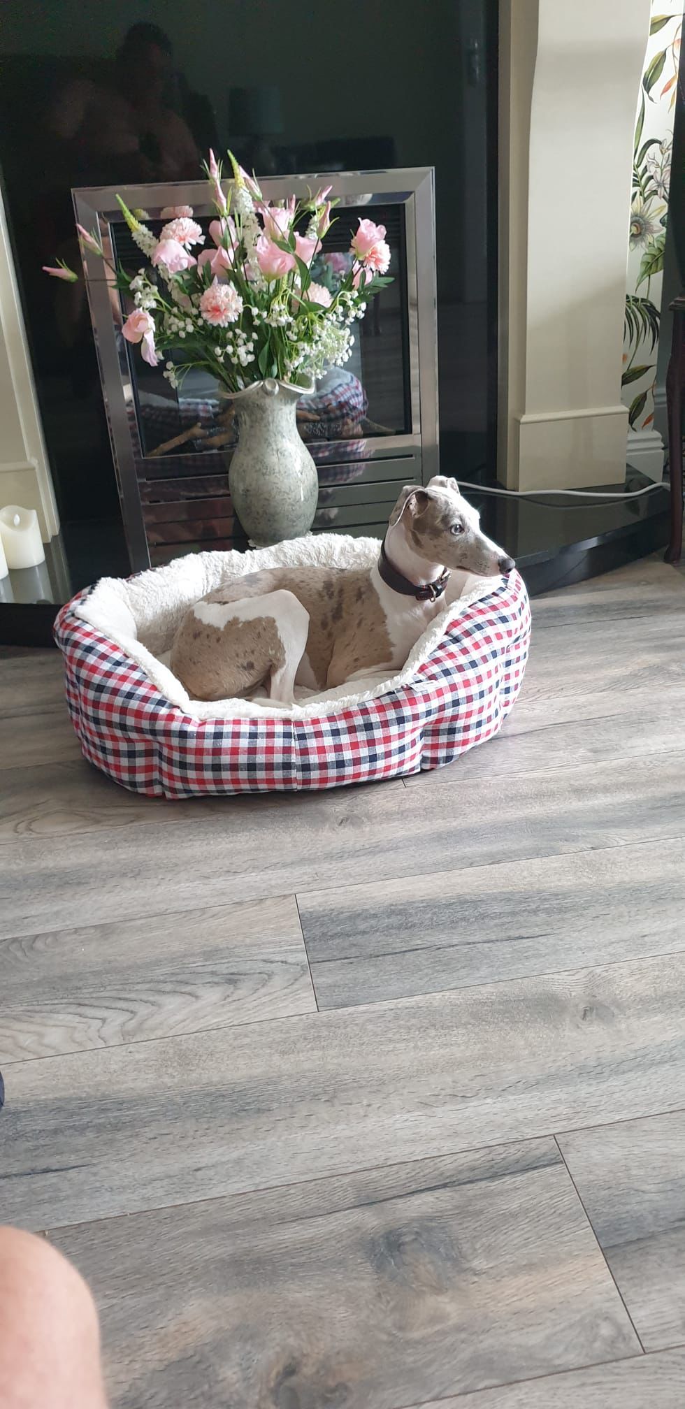 Country Tartan Nest Dog Bed