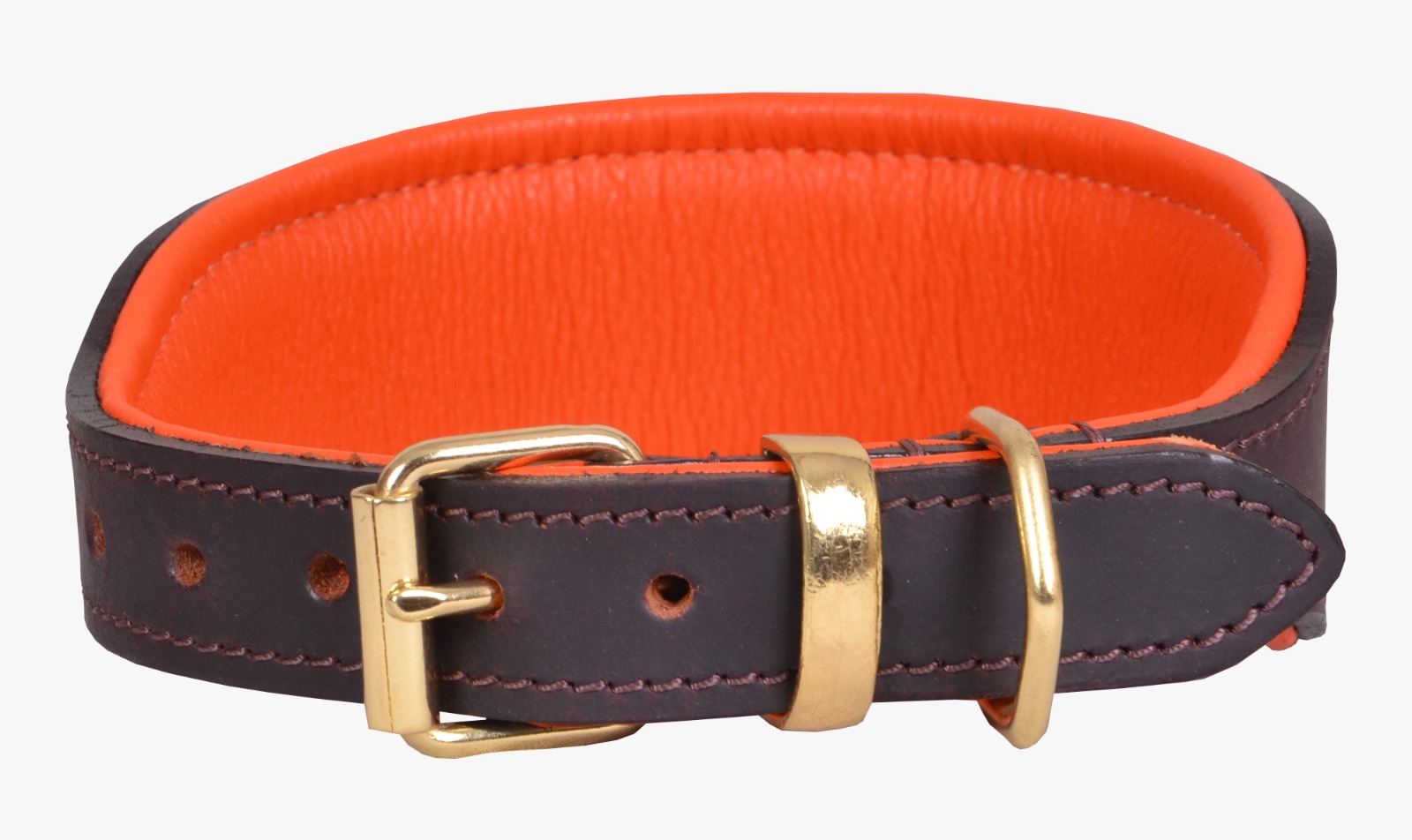 Greyhound Padded Collar (20 Inch) - Image 3