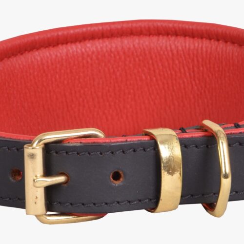 Greyhound Padded Collar (20 Inch)