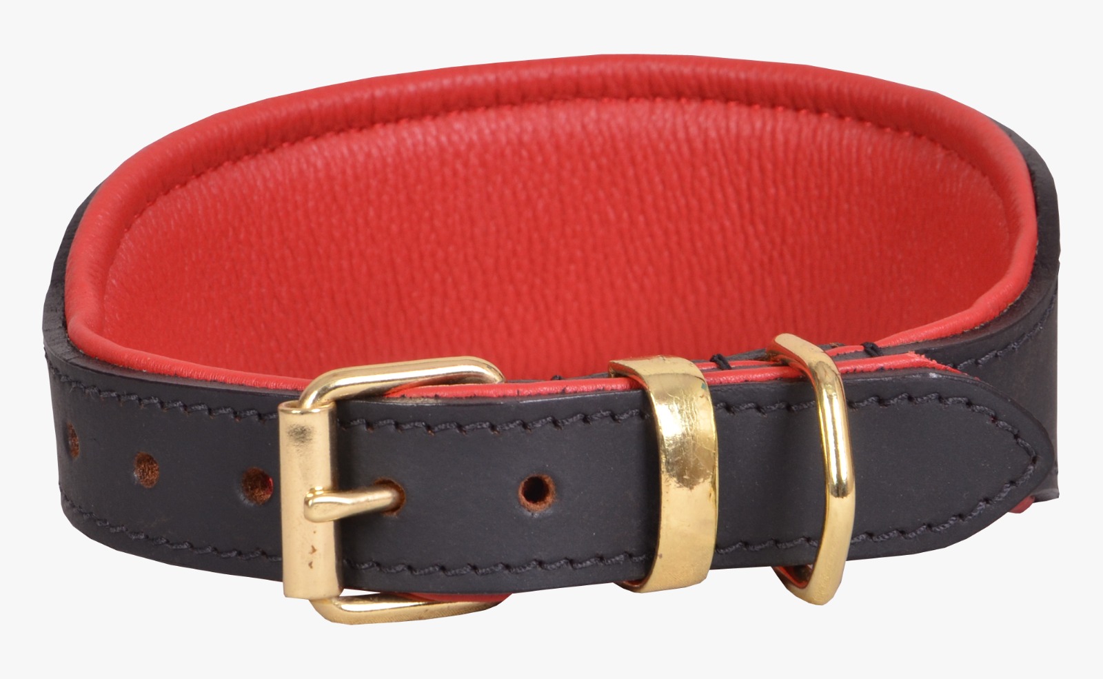 Greyhound Padded Collar (20 Inch)