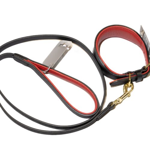 Greyhound Leather Clip Lead and Collar set