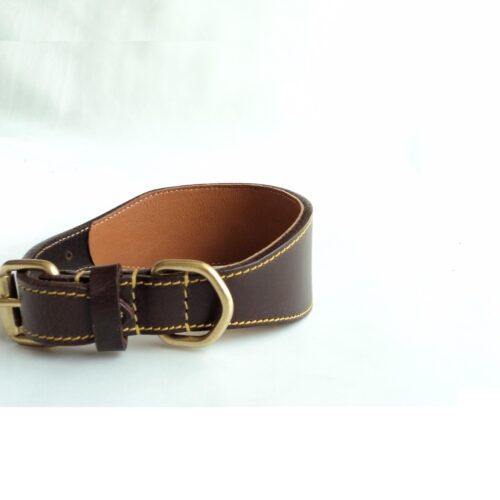 Greyhound Lined Collar