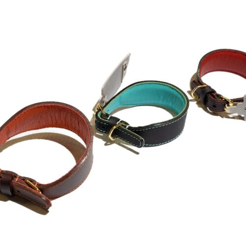 Padded Whippet Collar