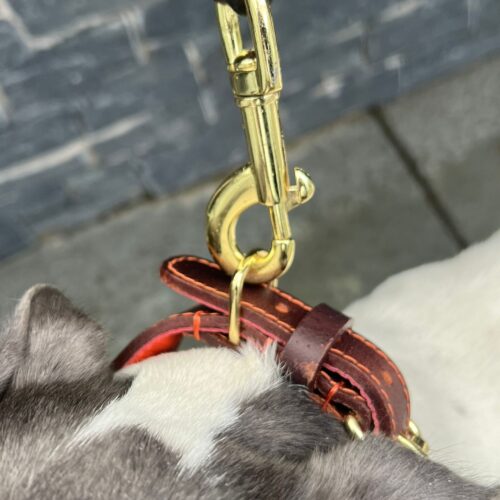 Whippet/ Lurcher Lead and Collar Set