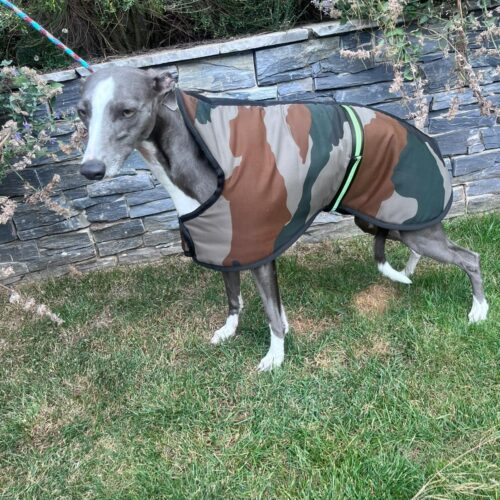 Army print  whippet coat