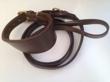 Fish Collar & Lead Set