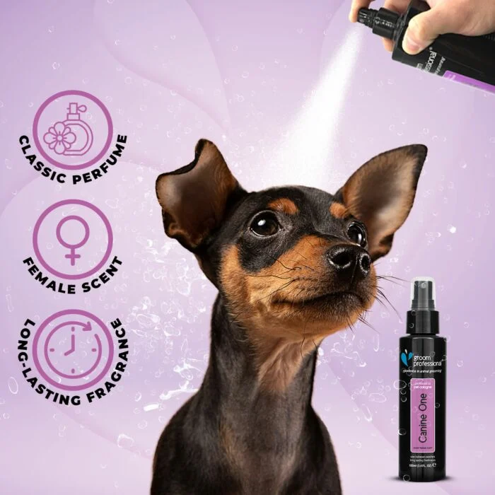 Groom Professional Canine One Colognes - Image 4