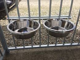 Double Dish and Holder