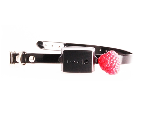 PAC Mini Miniature/Small Dog Training System) - Image 3