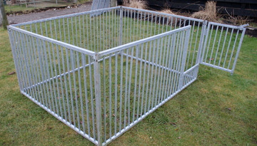 Four Sided Puppy/Small Dog