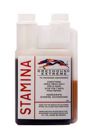 Stamina