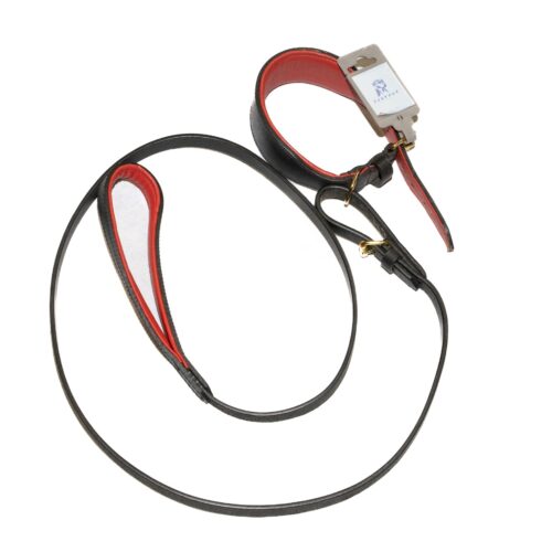 Greyhound Leather Eva Padded Lead and Collar Set