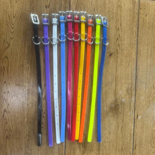 Small Dog / Puppy Grab Collars (Pack Of 10 Deal)