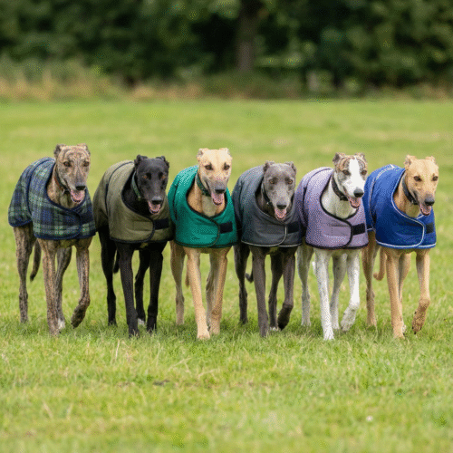 Heavy Duty Walk Out Coats (Pack of 6 Deal)