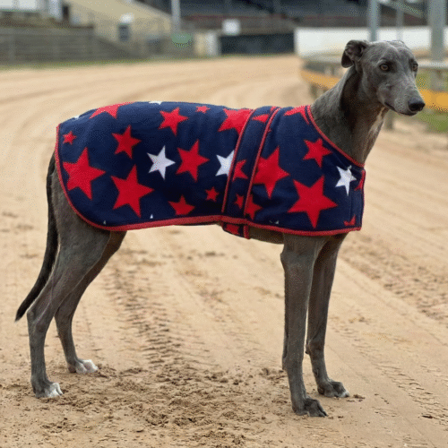 Red/ White Stars Fleece