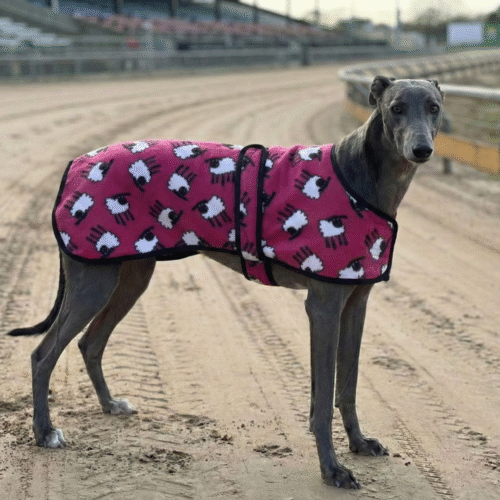 Pink Sheep Furlined Coat