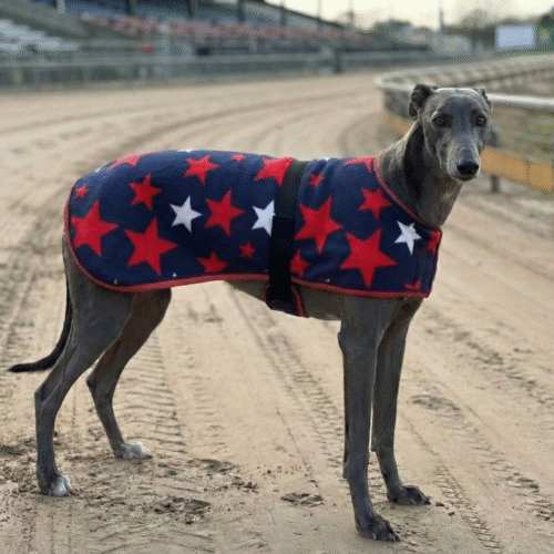 Red White Stars Walkout Coat