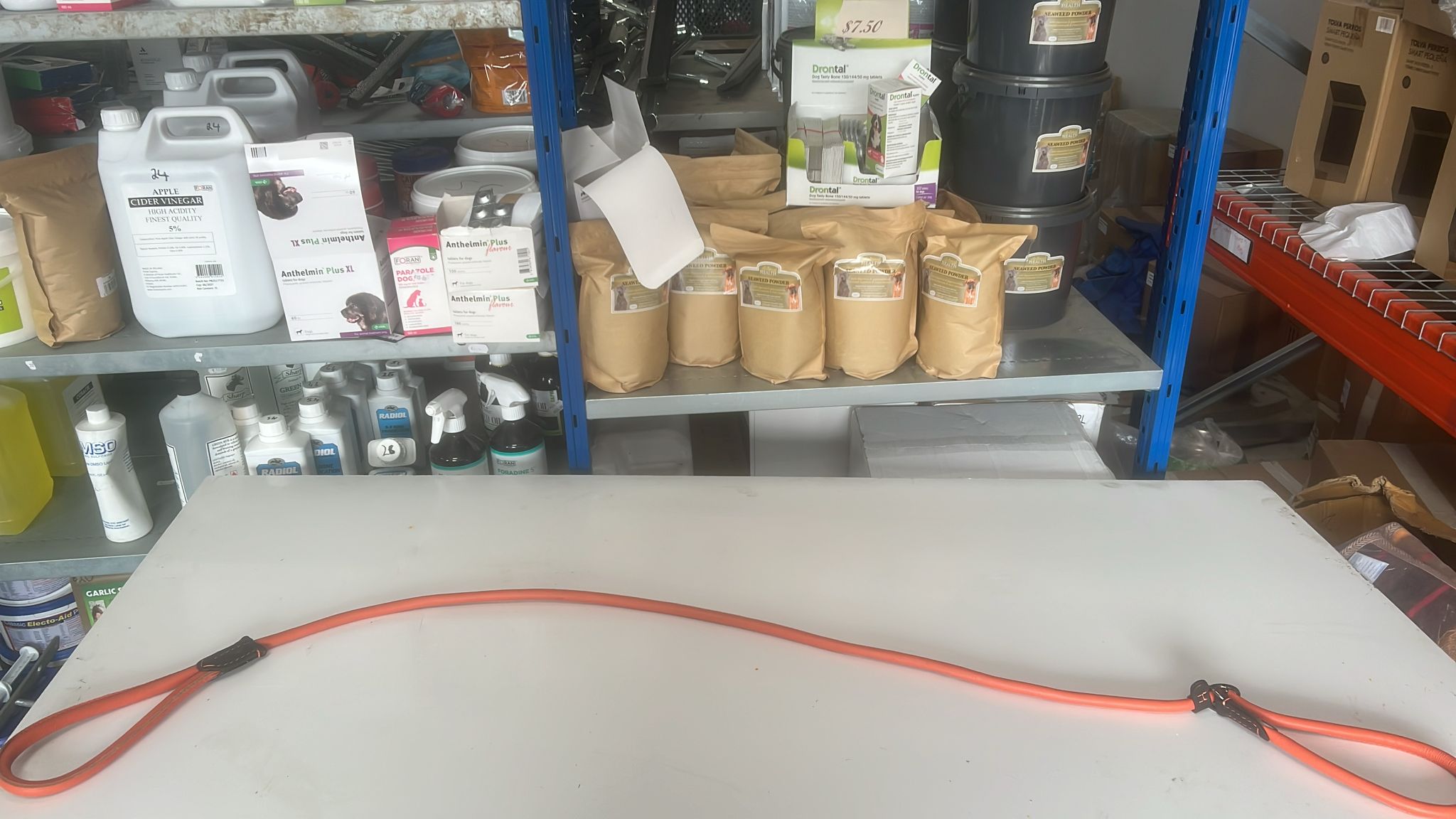 Handcrafted Rolled Leather Slip Lead - Image 3